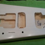 Body cavities 2